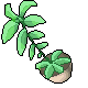 Morph Marble: Tall Fern