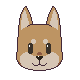 Shiba Inu