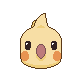 Cockatiel