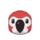 Red Parrot
