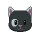 Tuxedo Cat