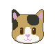 Calico Cat