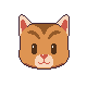 Tabby Cat