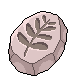 Piece of Fossilized Plant