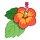 Summer Flower