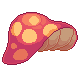 Mushroom Cap
