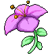 Helio Floret
