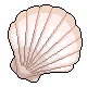 White Shell