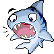 Confused Shark