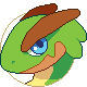 Evolotus